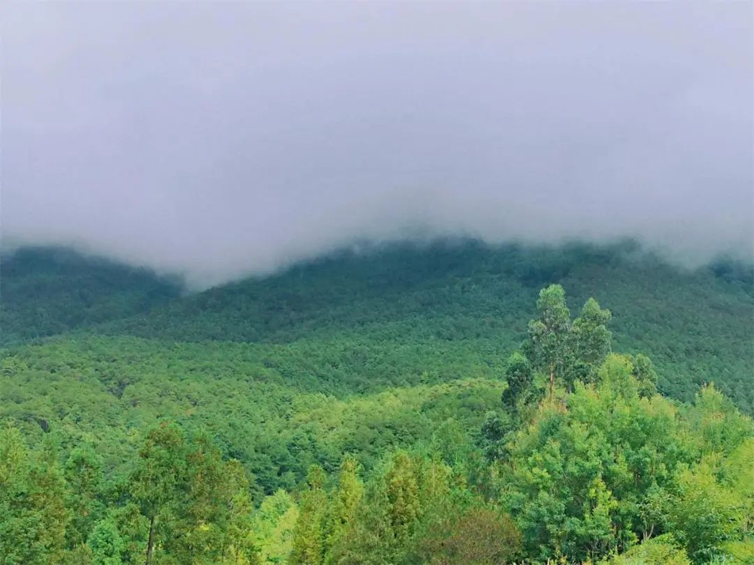 玉水寨雨后美景图，来了！