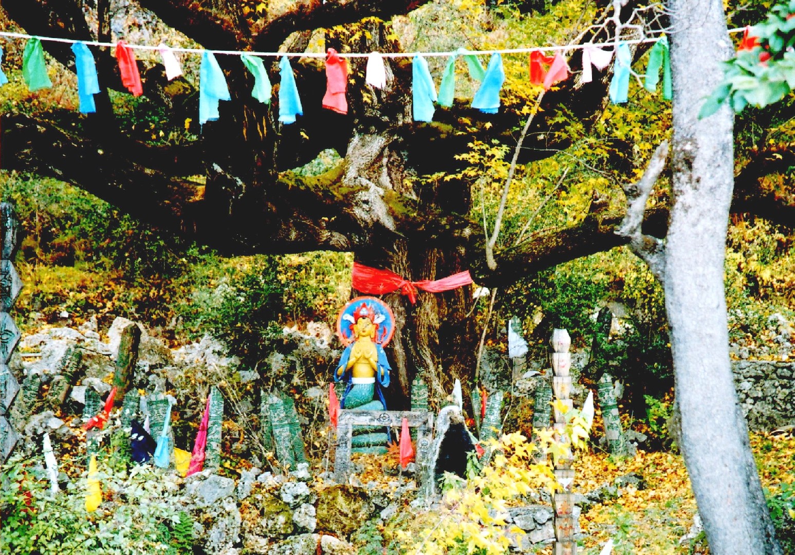 玉水寨早期风光图册02