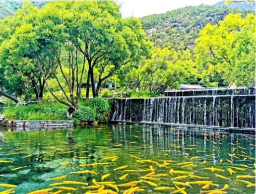 这样的化賩地，你爱吗?