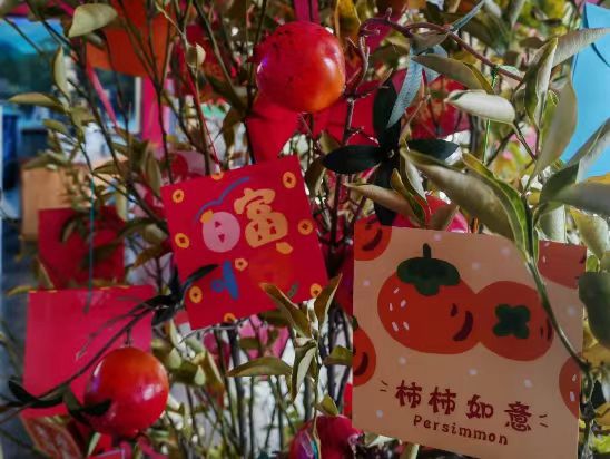 丽江市2025年迎新春活动预告