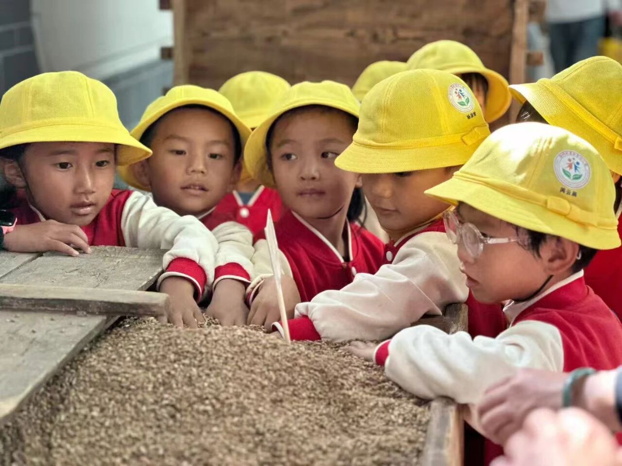 美鲁纳西村太省心！团建/工会/研学/聚餐，一趟全办妥！