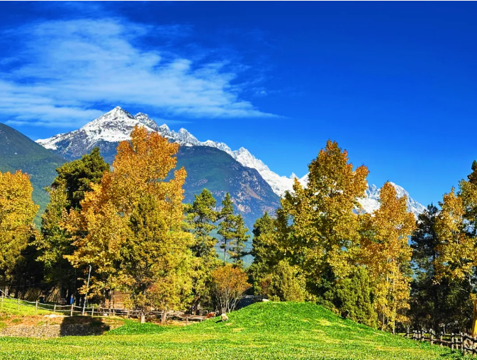 关于首届“美鲁杯”秋季摄影摄像大赛作品征集延期的通知