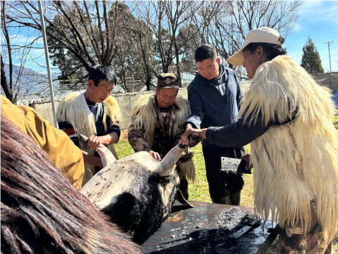美鲁纳西村杀猪季｜房檐腊味飘香，这才是纳西年的味道